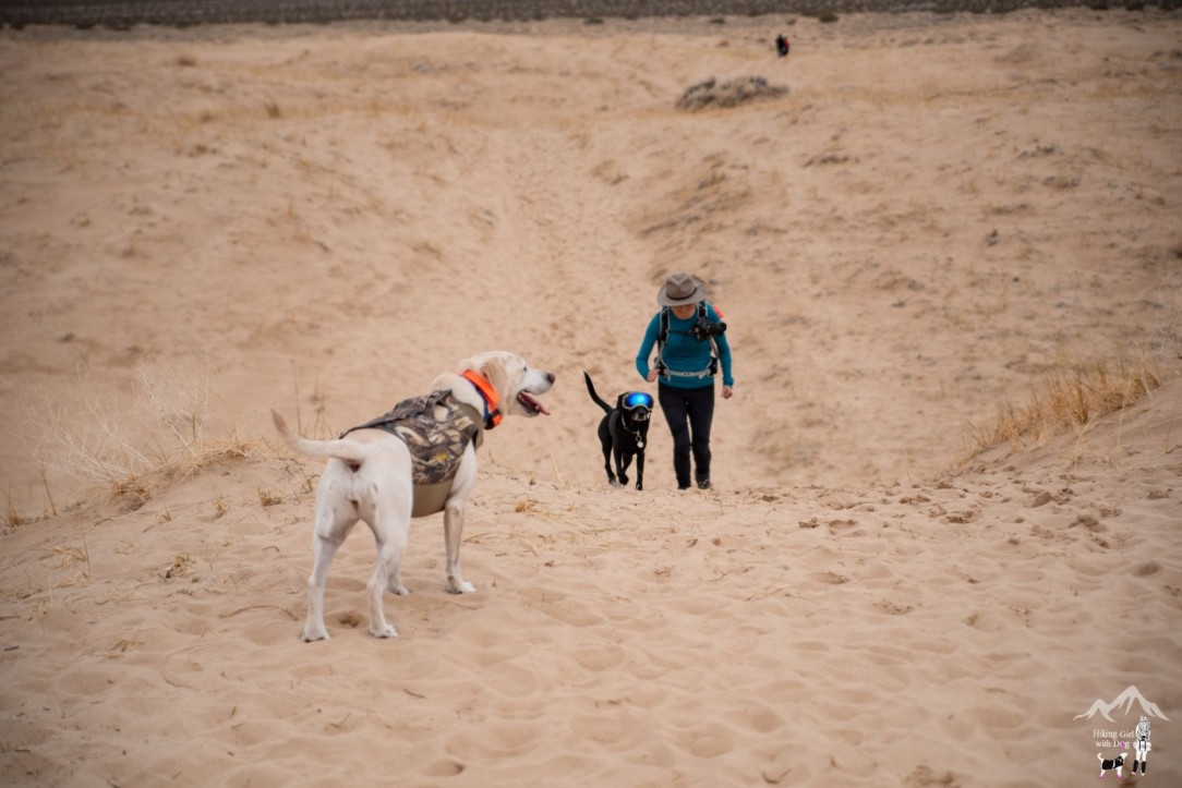 kelso_dunes-16.jpg