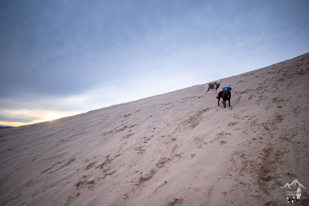 kelso_dunes-18.jpg