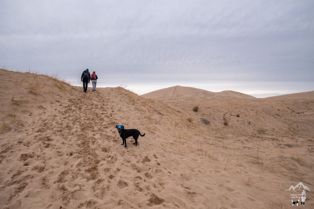 kelso_dunes-15.jpg