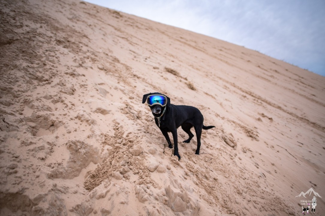 kelso_dunes-8.jpg