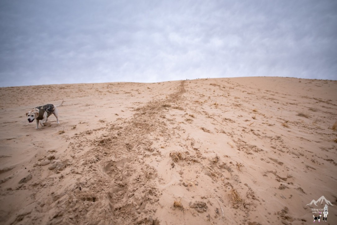 kelso_dunes-17.jpg