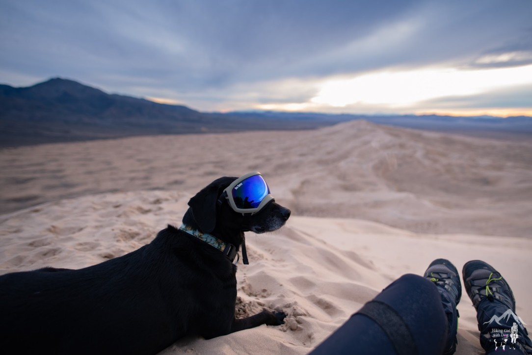 kelso_dunes-20.jpg