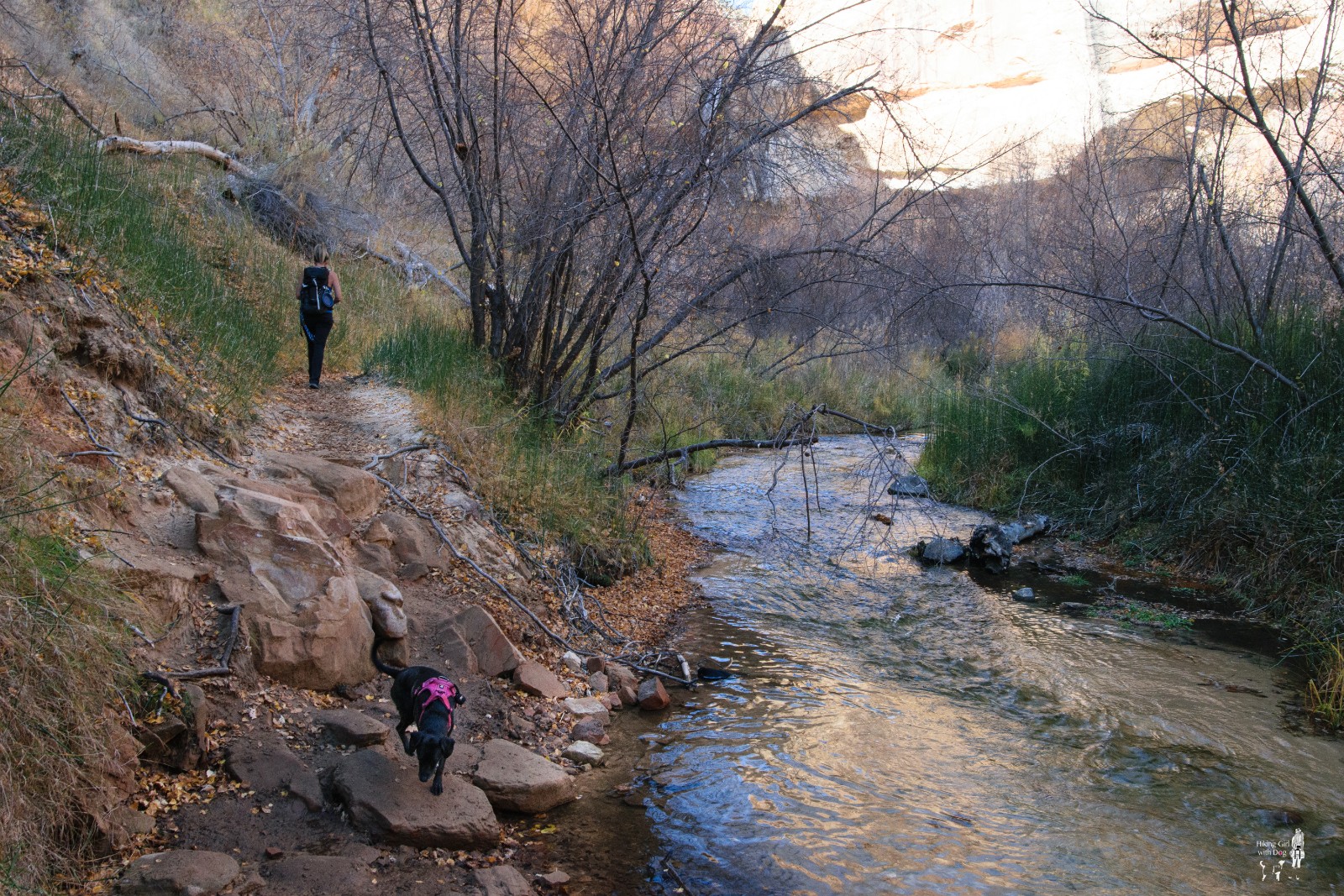 calfcreek-10.jpg