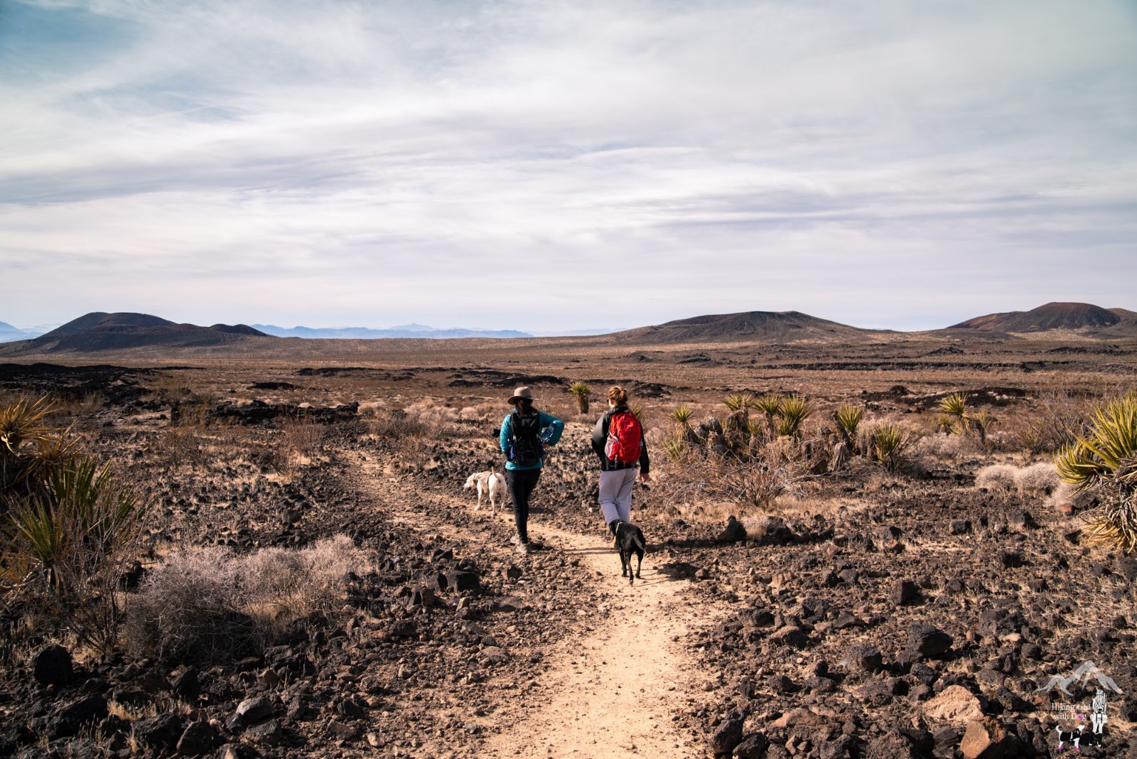 lava_tube-19.jpg