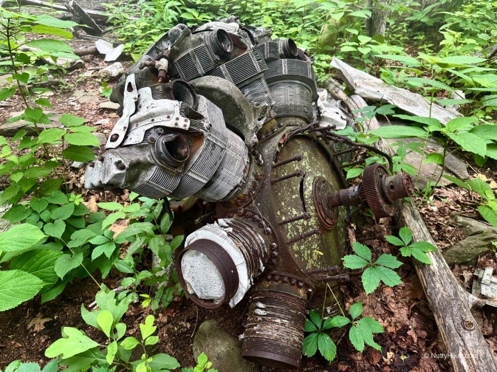 T-28 Plane Wreck on Humpback Mountain