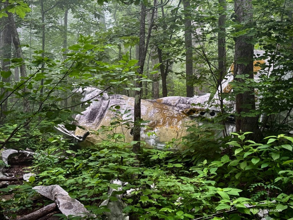 T-28 Plane Wreck on Humpback Mountain