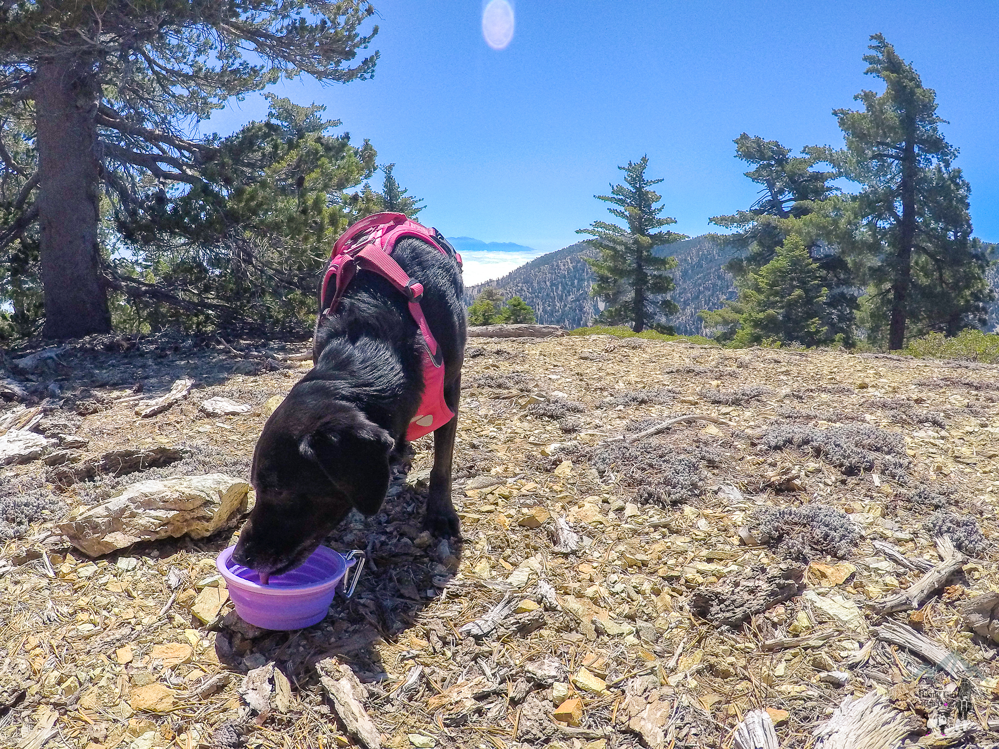 DCIM100GOPROPOPR2457.JPG