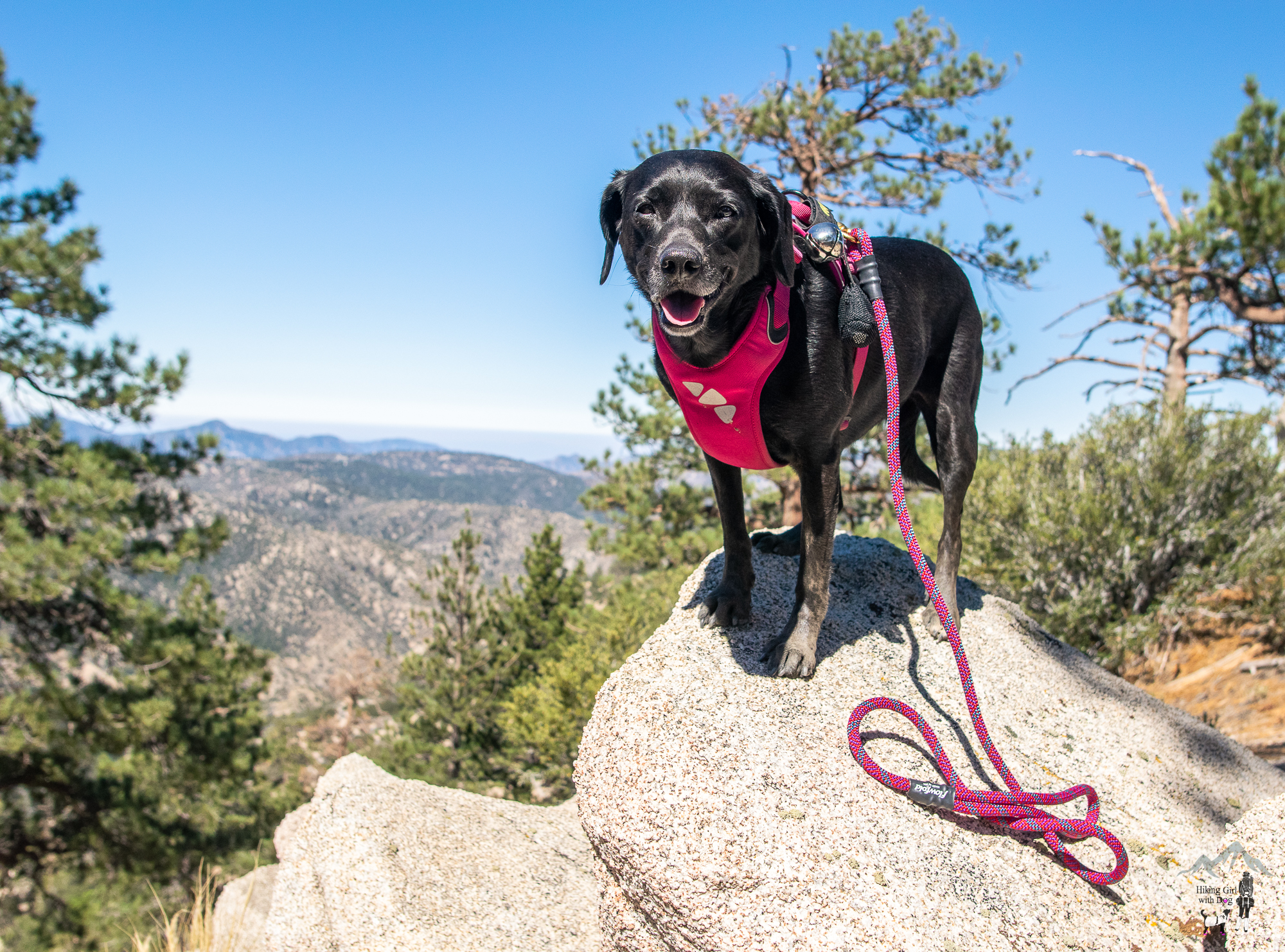 winston_ridge