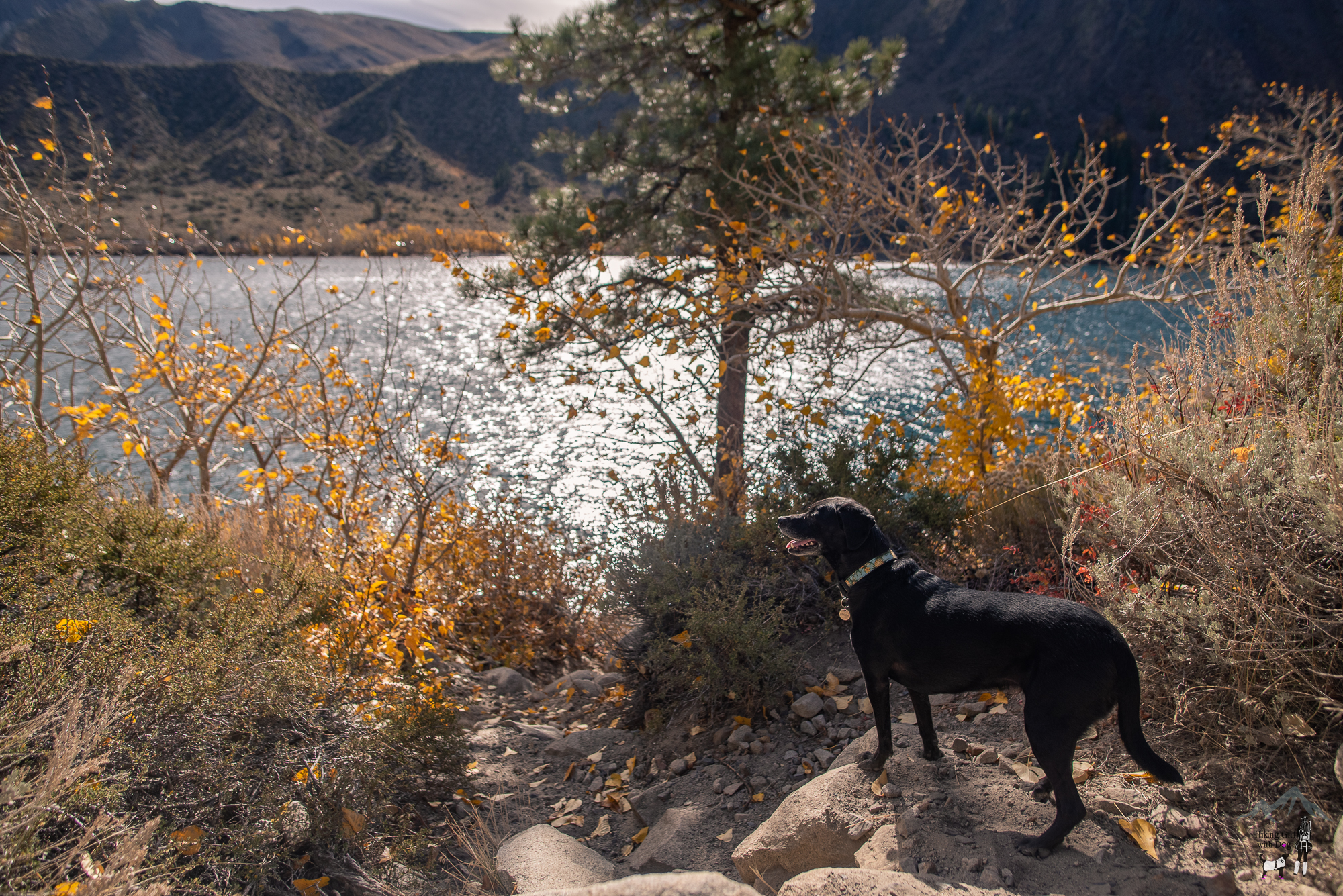 convict_lake-17