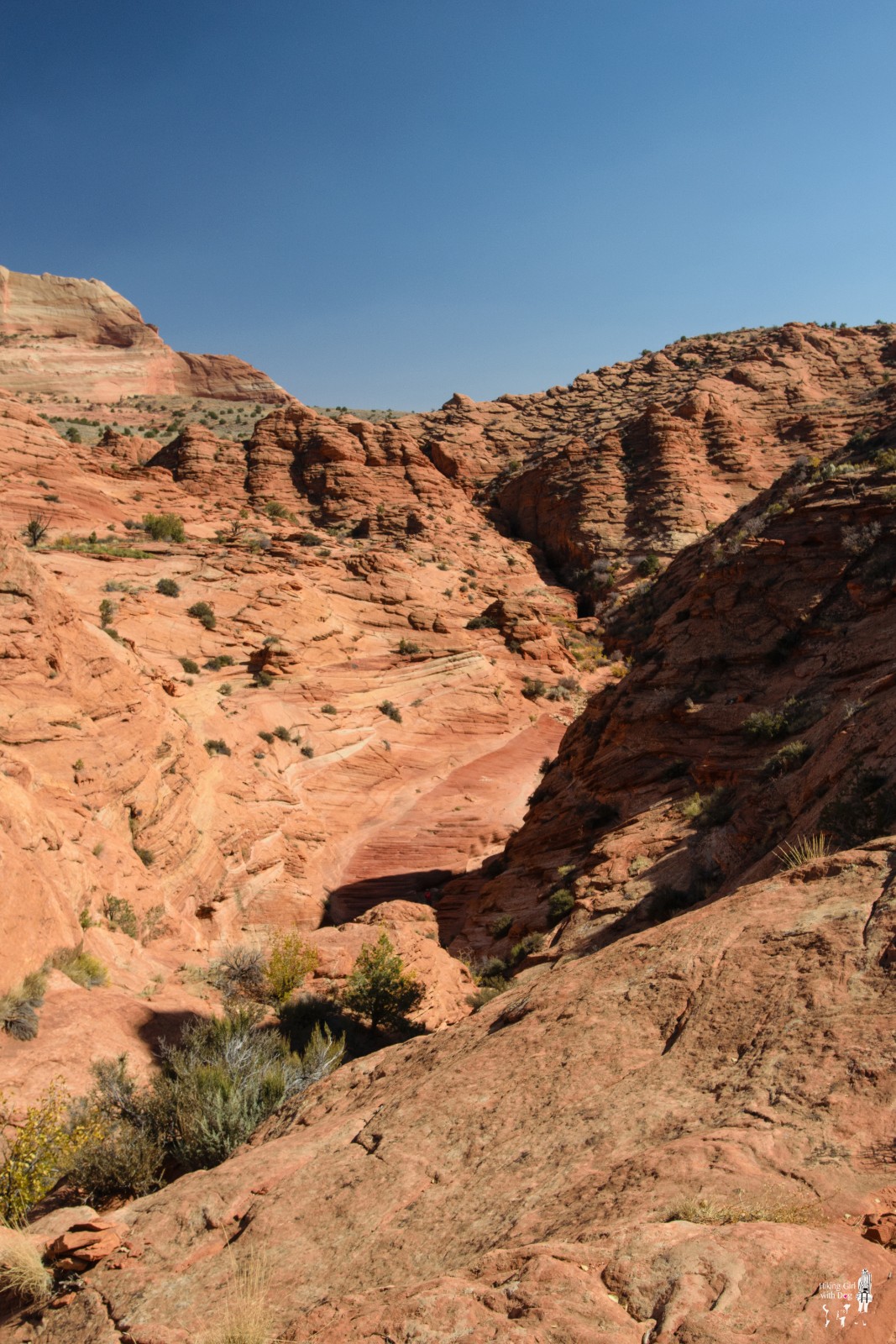 lake_powell-7.jpg