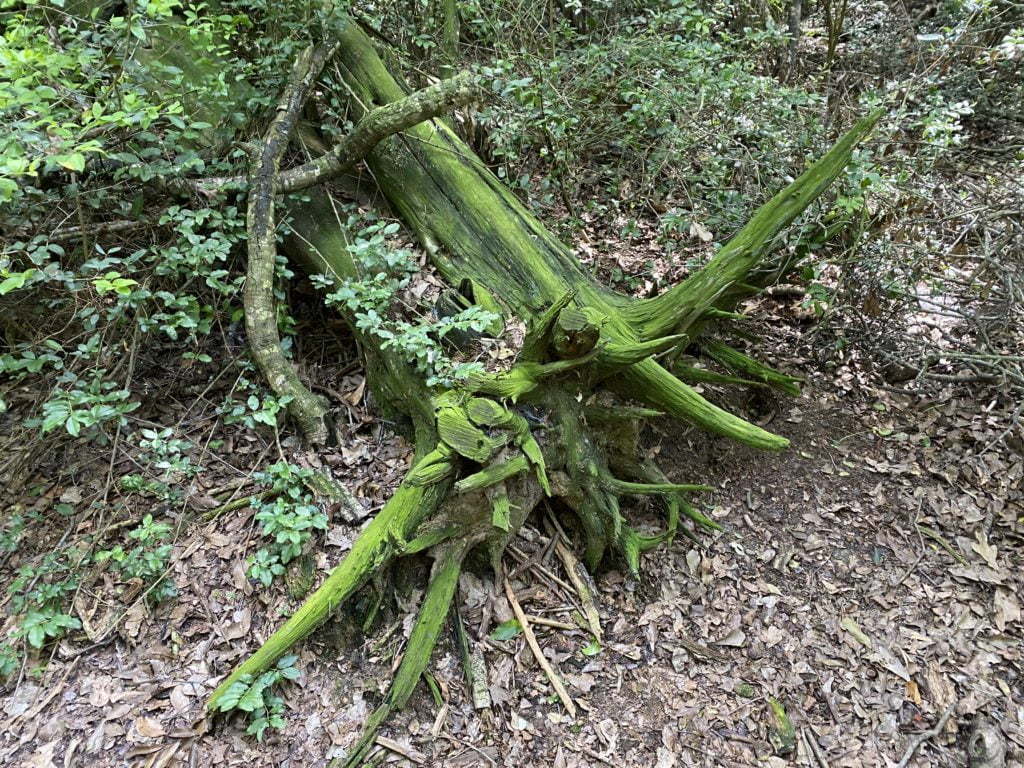 Fort Parker State Park