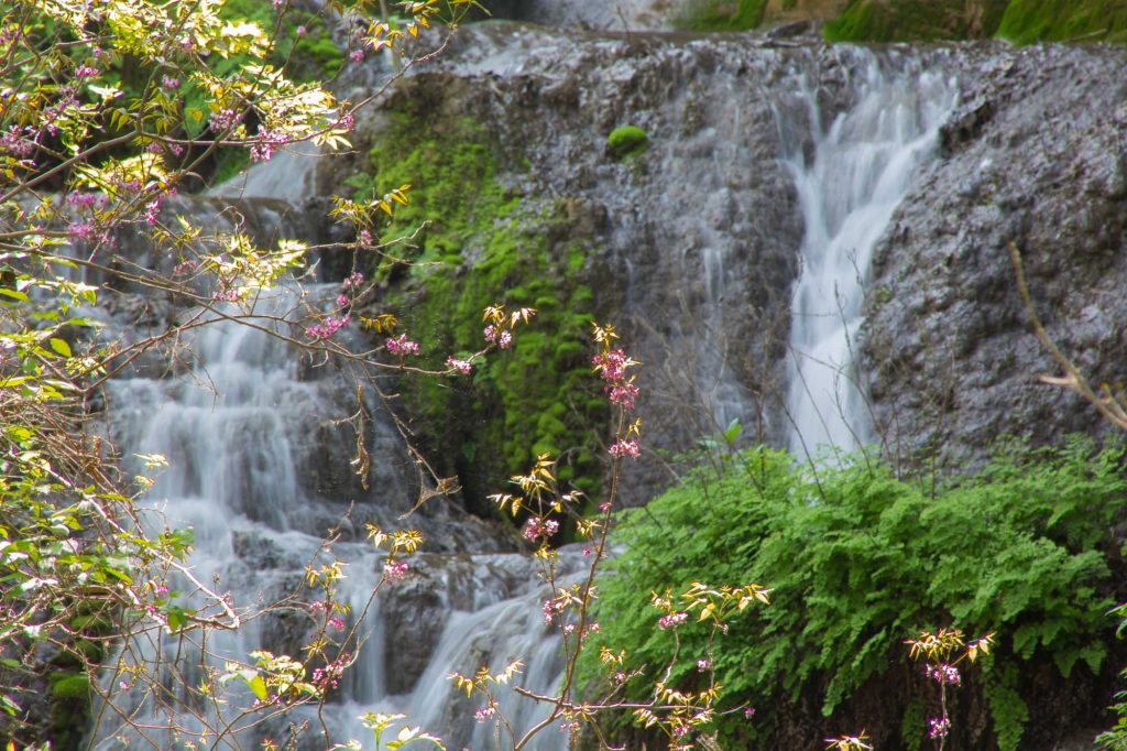 Κολοράντο Bend State Park, Gorman Falls
