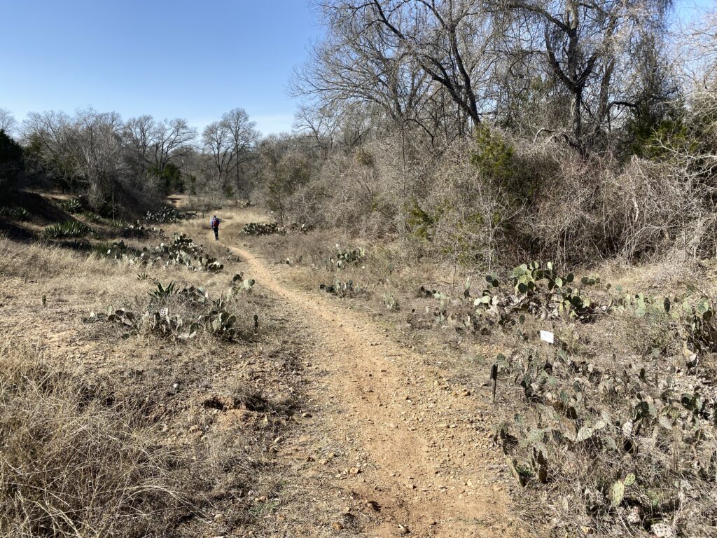 Cactus Garden στο Dragonfly Trail στο Καταφύγιο του ποταμού Κολοράντο